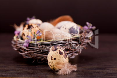 easter decoration with quail eggs on wood