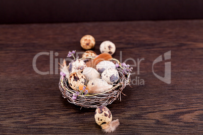 easter decoration with quail eggs on wood