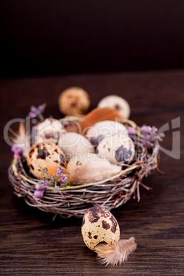 easter decoration with quail eggs on wood