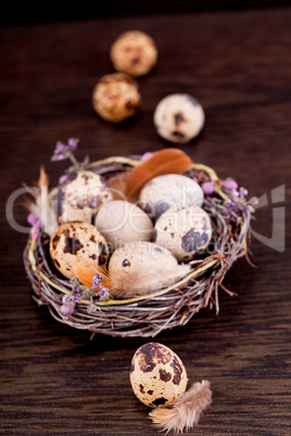 easter decoration with quail eggs on wood