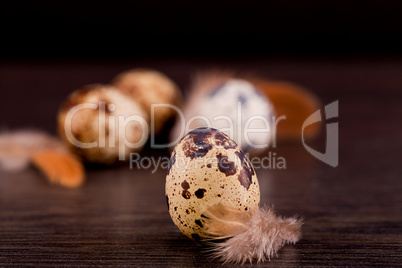 easter decoration with quail eggs on wood