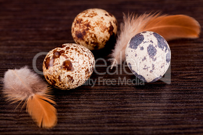 easter decoration with quail eggs on wood