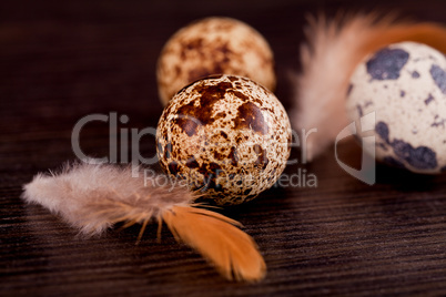 easter decoration with quail eggs on wood