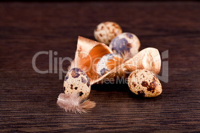 easter decoration with quail eggs on wood