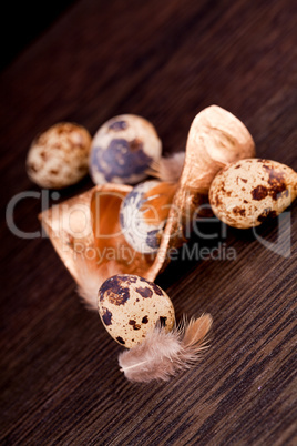 easter decoration with quail eggs on wood