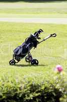 golfbag on a golf course in summer