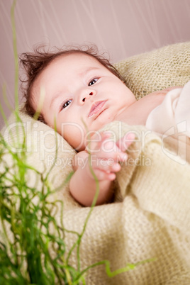 sweet little baby infant toddler on blanket in basket