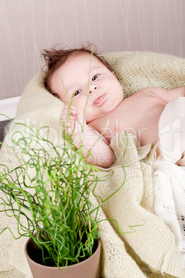 sweet little baby infant toddler on blanket in basket