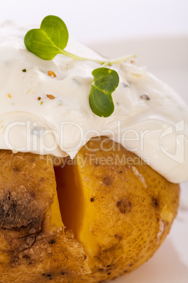 Baked jacket potato with sour cream sauce