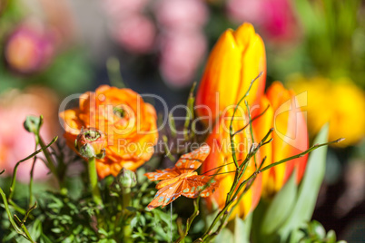 Background of colourful vivid summer flowers
