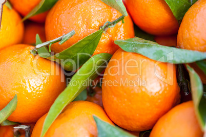 Background of fresh tangerines or clementines