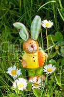 easter bunny outdoor in spring