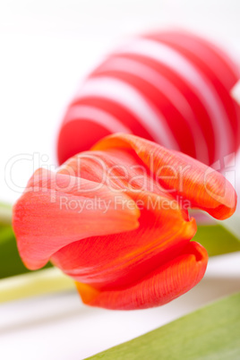 Colourful red Easter still life