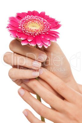 manicure making in beauty spa salon