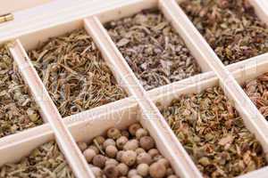 Tray with assorted dried spices and herbs