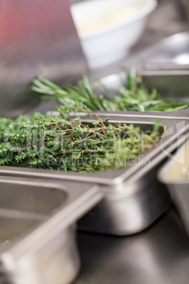 Fresh rosemary sprigs on a kitchen counter