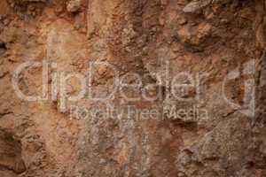 natural background texture material outdoor