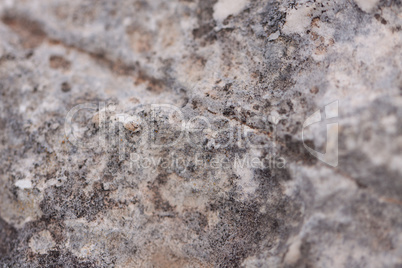 natural background texture material outdoor