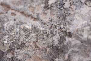 natural background texture material outdoor