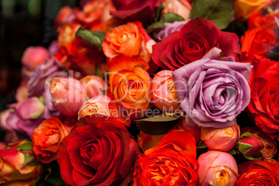 Bunches of colorful roses