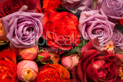 Bunches of colorful roses