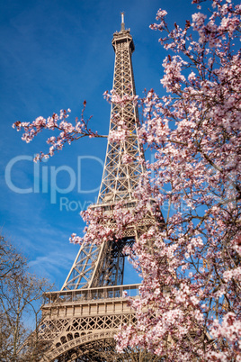 Eiffel Tower in Paris