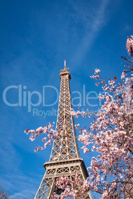 Eiffel Tower in Paris