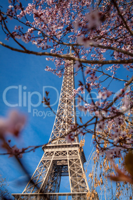 Eiffel Tower in Paris