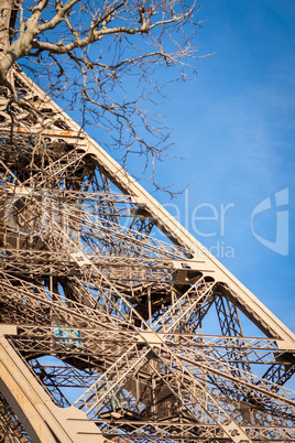 Tracery of leafless branches against a blue sky