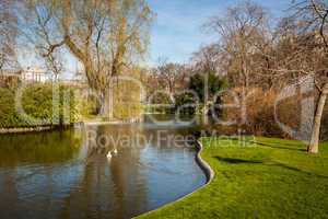 Tranquil park with a pond and wildflowers