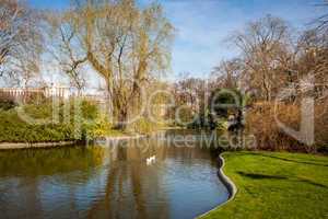 Tranquil park with a pond and wildflowers