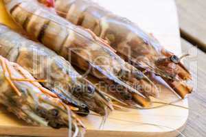 Four fresh whole tiger prawns