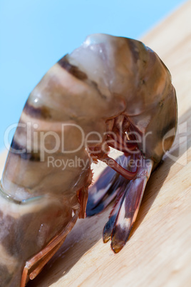 Four fresh whole tiger prawns