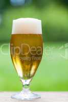 Elegant glass of cold refreshing beer