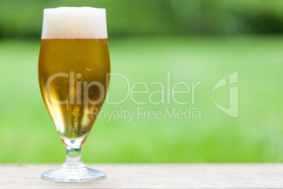 Elegant glass of cold refreshing beer