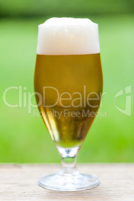 Elegant glass of cold refreshing beer