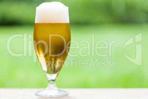 Elegant glass of cold refreshing beer