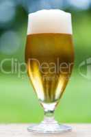 Elegant glass of cold refreshing beer