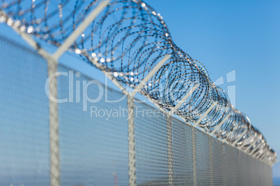 Coiled razor wire on top of a fence