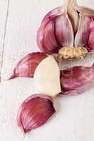 Fresh garlic bulb with loose cloves