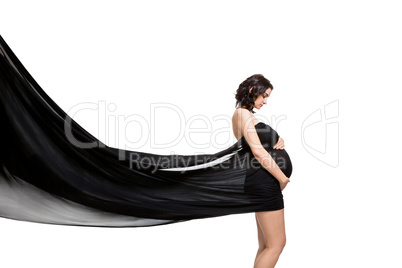 Artistic portrait of a beautiful pregnant woman