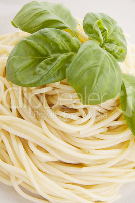 white plate with fresh pasta and basil isolated