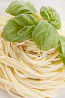 white plate with fresh pasta and basil isolated