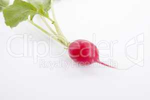 fresh red radish isolated on white background