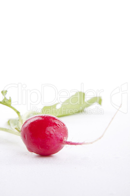 fresh red radish isolated on white background