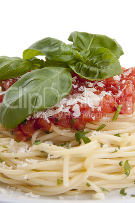 tatsty fresh spaghetti with tomato sauce and parmesan isolated