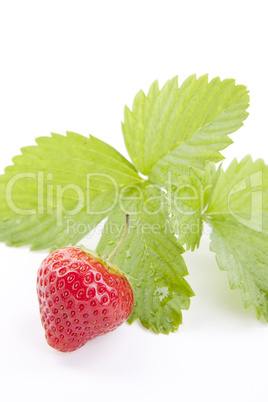 fresh red tasty strawberry isolated on white