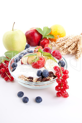 deliscious healthy breakfast with flakes and fruits isolated