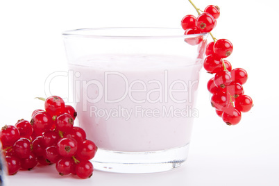 fresh tasty currant yoghurt shake dessert isolated