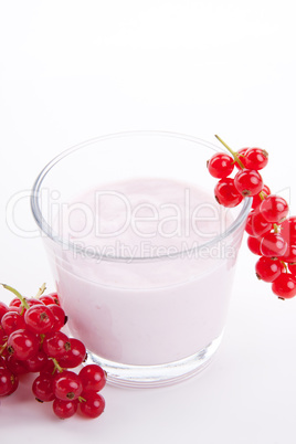 fresh tasty currant yoghurt shake dessert isolated